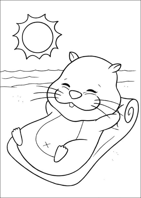 Plansa de colorat cu Hamsteri 68 65